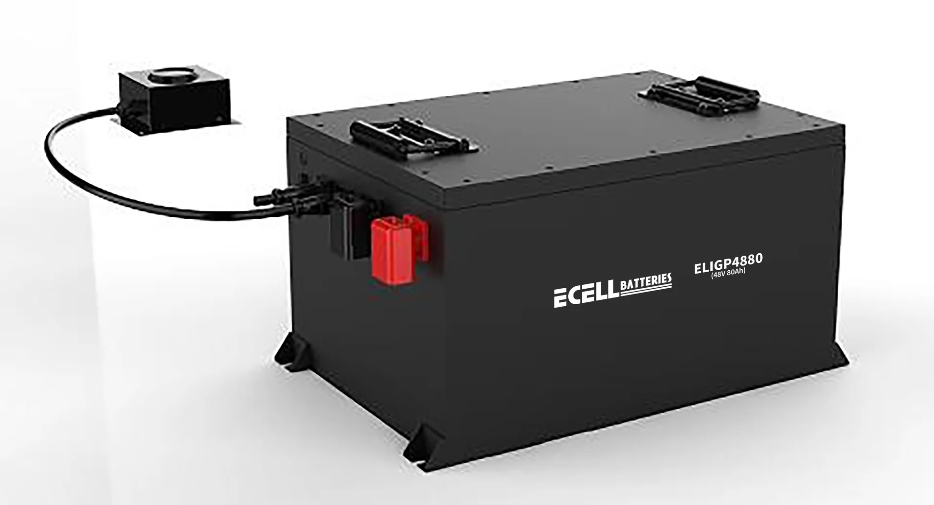 ELIGP4880 (48V 80Ah)