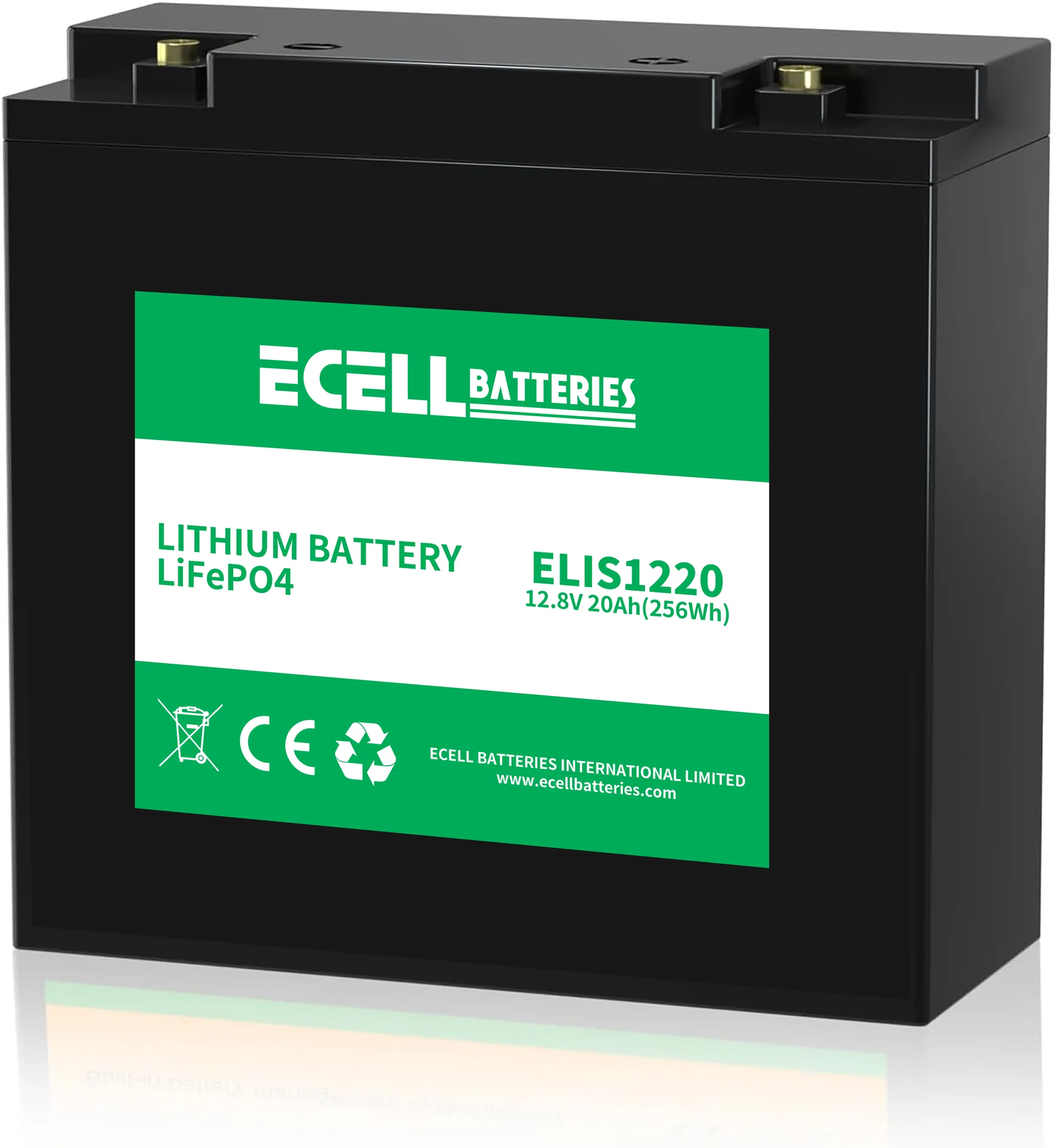 ELIS1220, 12.8V 20Ah(256Wh)