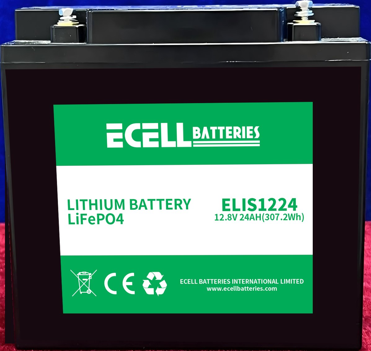 ELIS1224 12.8V 24AH(307.2Wh)