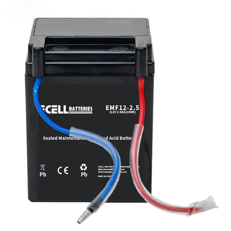 EMF12-2.5, 12V 2.5Ah(1)